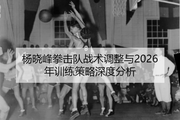 杨晓峰拳击队战术调整与2026年训练策略深度分析